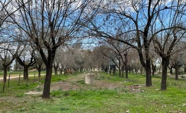Amplia quinta con casa galpón arboleda y mucho verde