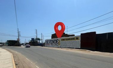 POR VIAJE! Terreno comercial 1,550 m² en Avenida cerca de Panamericana Sur y plaza de armas de Chincha!