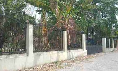 jual tanah + bangunan  bagus untuk gudang & pabrik 0 jalan raya propinsi