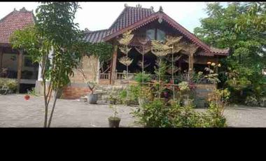 jual tanah + bangunan  bagus untuk gudang & pabrik 0 jalan raya propinsi