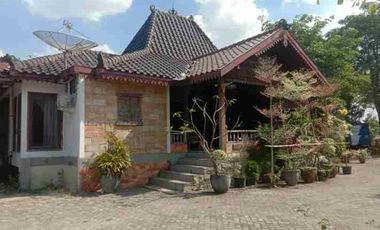 jual tanah + bangunan  bagus untuk gudang & pabrik 0 jalan raya propinsi