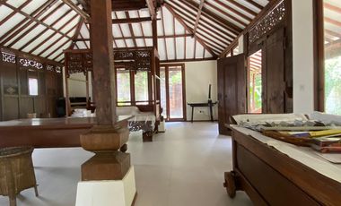 Dijual Rumah Mewah And Modern Seperti Resort dengan Taman Indah di Intan Cilandak Jakarta Selatan