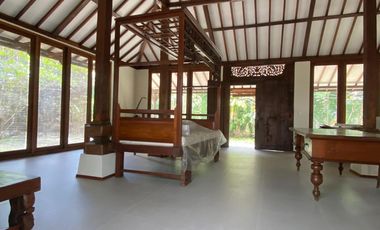 Dijual Rumah Mewah And Modern Seperti Resort dengan Taman Indah di Intan Cilandak Jakarta Selatan