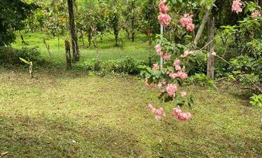VENDO QUINTA AMOBLADA, URB. EDEN PUERTO QUITO.