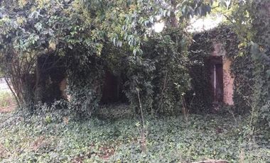 Amplia quinta con casona antigua en estado de demolición