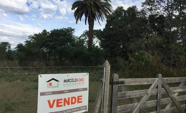 Amplia quinta con casona antigua en estado de demolición