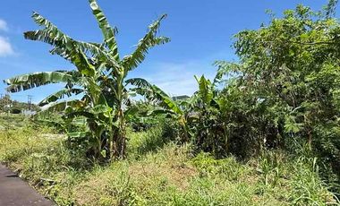 DIJUAL TANAH MURAH – DEKAT JALAN UTAMA NUSA DUA SELATAN, KUTUH, BADUNG BALI