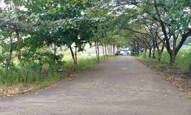 Murah Gudang Jatake