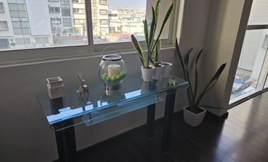 EN ZONA PLATEADA SE RENTA DEPARTAMENTO TOTALMENTE EQUIPADO IDEAL PARA EJECUTIVOS