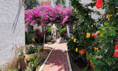 D213 Venta Departamento Remodelado en Planta Baja, 2 recamaras