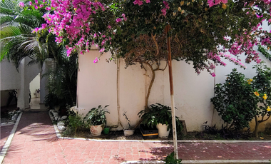 D213 Venta Departamento Remodelado en Planta Baja, 2 recamaras