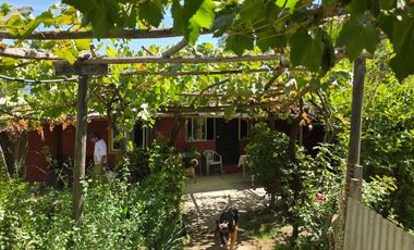 Parcela en Doñihue 5.700 m2 con 2 casas + Plantación de Limones en producción