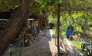 Parcela en Doñihue 5.700 m2 con 2 casas + Plantación de Limones en producción