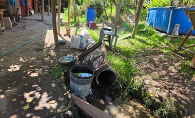 Parcela en Doñihue 5.700 m2 con 2 casas + Plantación de Limones en producción