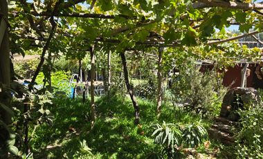 Parcela en Doñihue 5.700 m2 con 2 casas + Plantación de Limones en producción