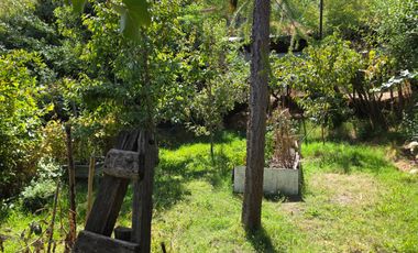 Parcela en Doñihue 5.700 m2 con 2 casas + Plantación de Limones en producción
