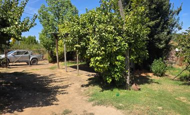 Parcela en Doñihue 5.700 m2 con 2 casas + Plantación de Limones en producción