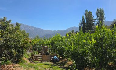 Parcela en Doñihue 5.700 m2 con 2 casas + Plantación de Limones en producción