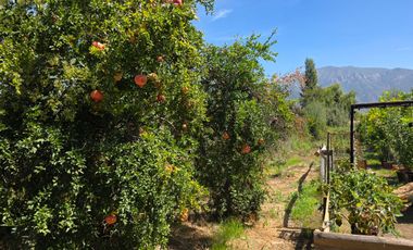 Parcela en Doñihue 5.700 m2 con 2 casas + Plantación de Limones en producción