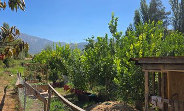 Parcela en Doñihue 5.700 m2 con 2 casas + Plantación de Limones en producción