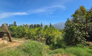 Parcela en Doñihue 5.700 m2 con 2 casas + Plantación de Limones en producción