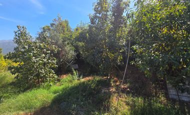 Parcela en Doñihue 5.700 m2 con 2 casas + Plantación de Limones en producción