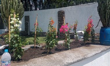 - “Amplia casa de 4 recámaras con jardín y cisterna en Col. Rancho Cortés – cerca de autopista y plazas” Zona fresca