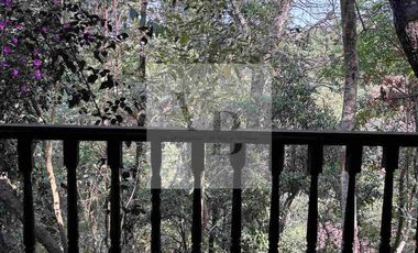 Renta de cabaña en el bosques valle de bravo