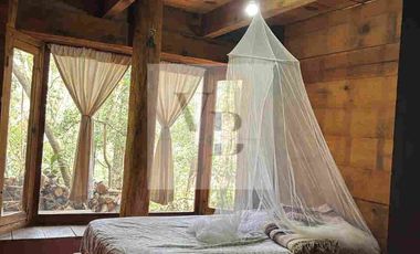 Renta de cabaña en el bosques valle de bravo