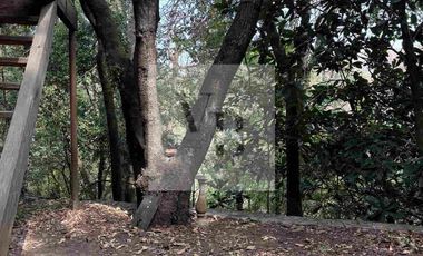 Renta de cabaña en el bosques valle de bravo