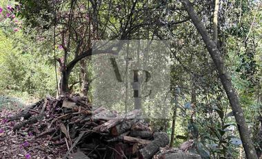 Renta de cabaña en el bosques valle de bravo