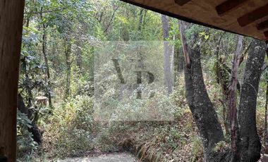 Renta de cabaña en el bosques valle de bravo