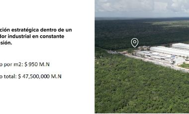 TERRENO A UN COSTADO DE LA CENTRAL DE ABASTOS  EN PLAYA DEL CARMEN