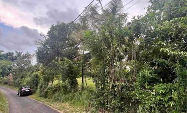 jual tanah dekat pantai soka selemadeg