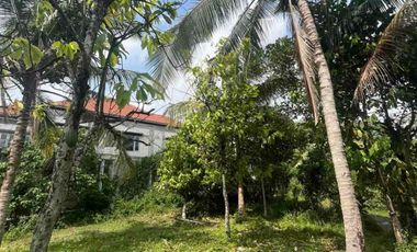 jual tanah dekat pantai soka selemadeg