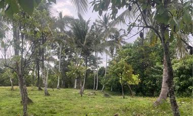 jual tanah dekat pantai soka selemadeg