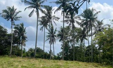 jual tanah dekat pantai soka selemadeg