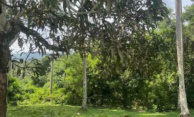 jual tanah dekat pantai soka selemadeg