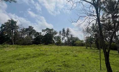 jual tanah dekat pantai soka selemadeg