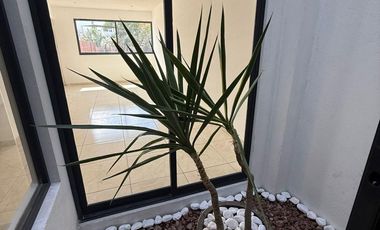 VENTA DE CASA EN JIUTEPEC MORELOS LOS PINOS