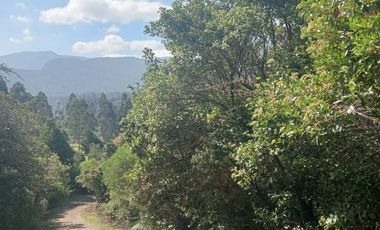 Venta casa-hotel-restaurante-glampling