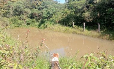 Venta casa-hotel-restaurante-glampling