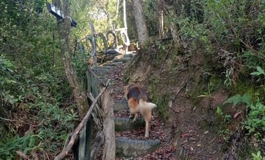 Venta casa-hotel-restaurante-glampling