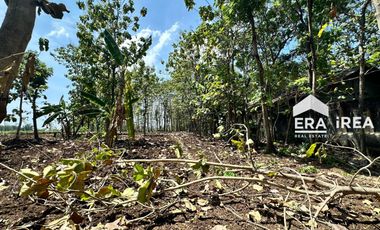 TANAH DAN GUDANG DIJUAL DI SOLO BARAT BOYOLALI DEKAT PASAR SAMBI
