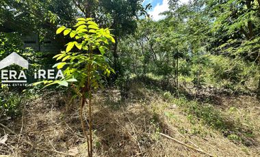 TANAH DAN GUDANG DIJUAL DI SOLO BARAT BOYOLALI DEKAT PASAR SAMBI
