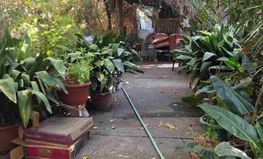 Vendo casa con gran terreno