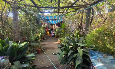 Vendo casa con gran terreno