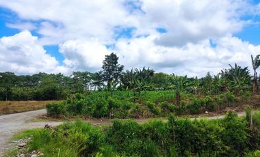 Se vende terreno en el sector la aurora en Santo Domingo