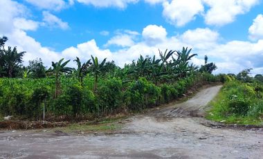 Se vende terreno en el sector la aurora en Santo Domingo