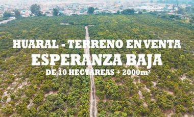 TERRENO DE 10.2 HECTAREAS UBICADO EN ESPERANZA BAJA-HUARAL
